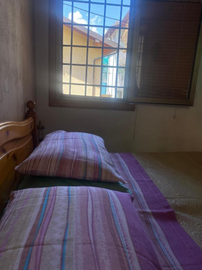 “Casa Rosi” Appartamento In Zona Medievale بيسوني المظهر الخارجي الصورة